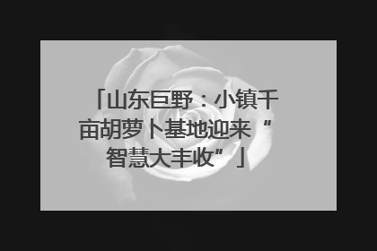 山东巨野：小镇千亩胡萝卜基地迎来“智慧大丰收”