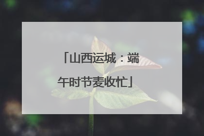 山西运城：端午时节麦收忙