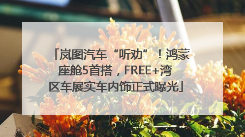 岚图汽车“听劝”！鸿蒙座舱5首搭，FREE+湾区车展实车内饰正式曝光
