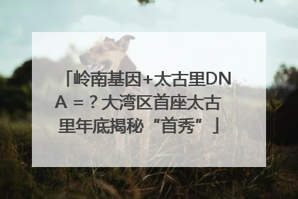 岭南基因+太古里DNA =？大湾区首座太古里年底揭秘“首秀”