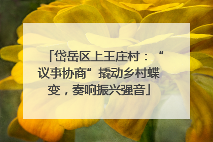 岱岳区上王庄村：“议事协商”撬动乡村蝶变，奏响振兴强音