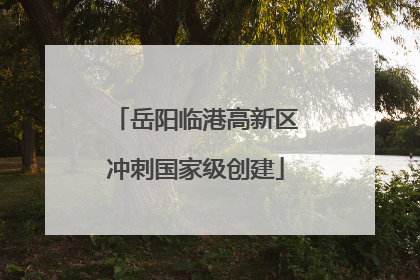 岳阳临港高新区冲刺国家级创建