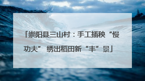 崇阳县三山村：手工插秧“慢功夫” 绣出稻田新“丰”景