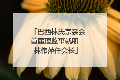 巴西林氏宗亲会首届理监事就职 林伟萍任会长