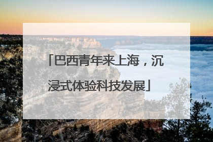 巴西青年来上海，沉浸式体验科技发展