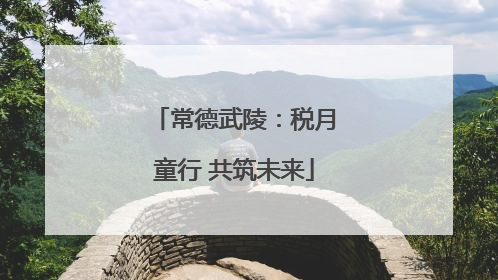 常德武陵：税月童行 共筑未来