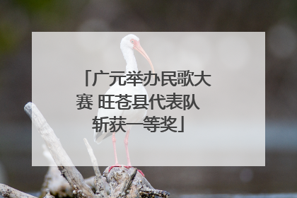 广元举办民歌大赛 旺苍县代表队斩获一等奖
