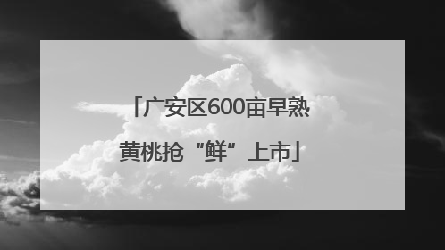广安区600亩早熟黄桃抢“鲜”上市
