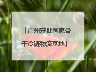 广州获批国家骨干冷链物流基地