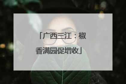 广西三江：椒香满园促增收