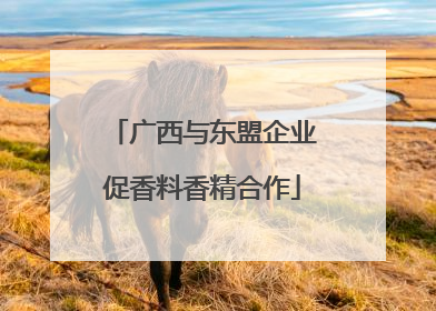 广西与东盟企业促香料香精合作
