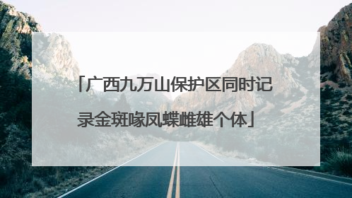 广西九万山保护区同时记录金斑喙凤蝶雌雄个体