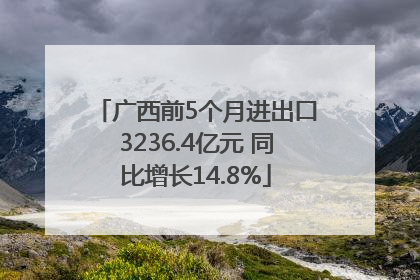 广西前5个月进出口3236.4亿元 同比增长14.8%