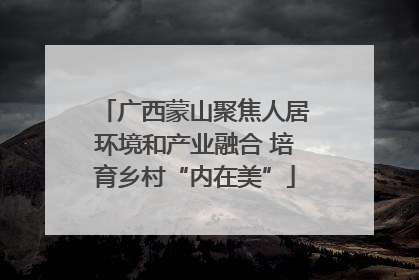 广西蒙山聚焦人居环境和产业融合 培育乡村“内在美”