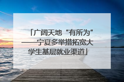 广阔天地“有所为”——宁夏多举措拓宽大学生基层就业渠道