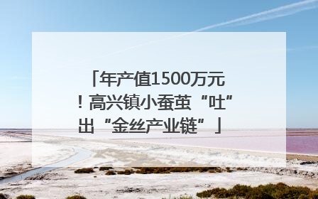 年产值1500万元！高兴镇小蚕茧“吐”出“金丝产业链”