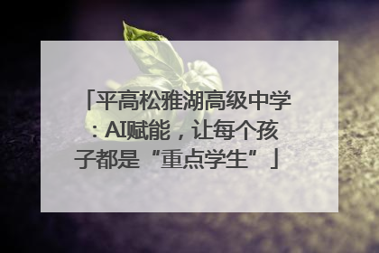平高松雅湖高级中学：AI赋能，让每个孩子都是“重点学生”