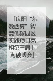 庆阳“东数西算”智慧低碳园区实践项目亮相第三届上海碳博会