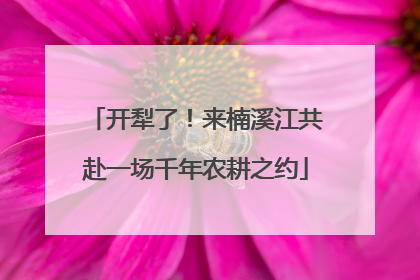 开犁了！来楠溪江共赴一场千年农耕之约