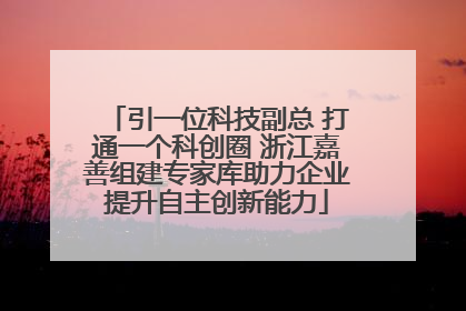 引一位科技副总 打通一个科创圈 浙江嘉善组建专家库助力企业提升自主创新能力