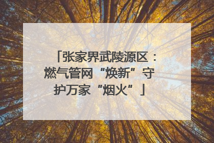 张家界武陵源区：燃气管网“焕新”守护万家“烟火”