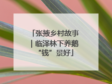 张掖乡村故事｜临泽林下养鹅“钱”景好