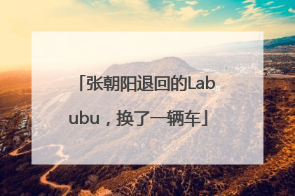 张朝阳退回的Labubu，换了一辆车