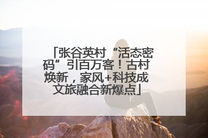 张谷英村“活态密码”引百万客！古村焕新，家风+科技成文旅融合新爆点