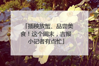 插秧放蟹、品尝美食！这个周末，吉报小记者有点忙
