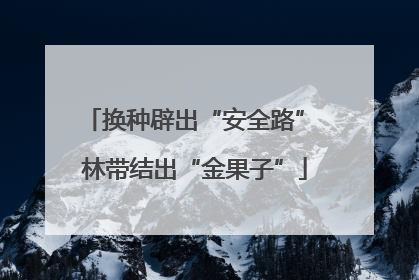 换种辟出“安全路” 林带结出“金果子”