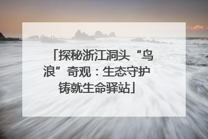 探秘浙江洞头“鸟浪”奇观：生态守护铸就生命驿站
