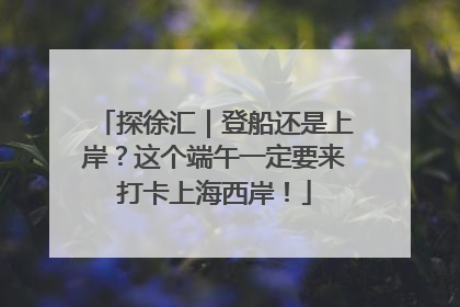 探徐汇｜登船还是上岸？这个端午一定要来打卡上海西岸！