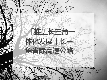 推进长三角一体化发展｜长三角省际高速公路网加快成型
