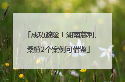成功避险！湖南慈利、桑植2个案例可借鉴
