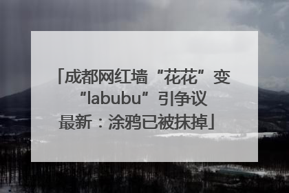 成都网红墙“花花”变“labubu”引争议 最新：涂鸦已被抹掉