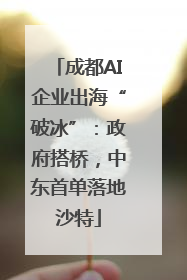成都AI企业出海“破冰”：政府搭桥，中东首单落地沙特
