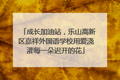 成长加油站，乐山高新区嘉祥外国语学校用爱浇灌每一朵迟开的花