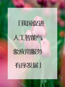 我国促进人工智能气象应用服务有序发展
