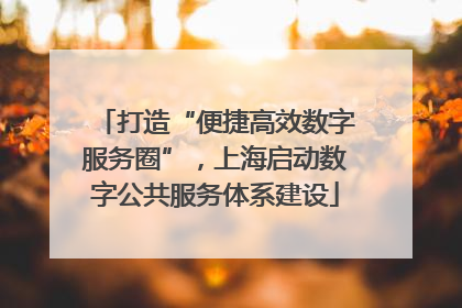 打造“便捷高效数字服务圈”，上海启动数字公共服务体系建设