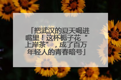 把武汉的夏天喝进嘴里！这杯栀子花“上岸茶”，成了百万年轻人的青春暗号