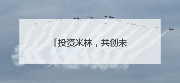 投资米林，共创未来——政企携手，共筑区域发展新高地