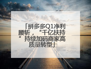 拼多多Q1净利腰斩，“千亿扶持”持续加码商家高质量转型