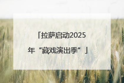 拉萨启动2025年“藏戏演出季”