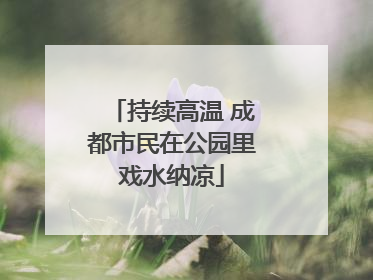 持续高温 成都市民在公园里戏水纳凉
