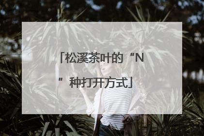 松溪茶叶的“N”种打开方式