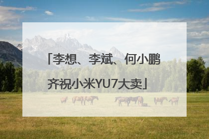 李想、李斌、何小鹏齐祝小米YU7大卖