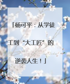 杨可平：从学徒工到“大工匠”的逆袭人生！