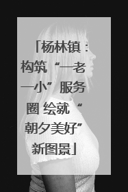 杨林镇：构筑“一老一小”服务圈 绘就“朝夕美好”新图景