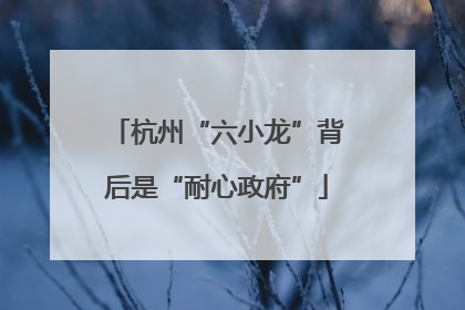 杭州“六小龙”背后是“耐心政府”