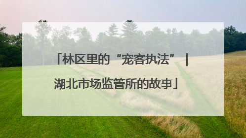 林区里的“宠客执法”｜湖北市场监管所的故事